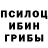 Галлюциногенные грибы Magic Shrooms Matej Krhin