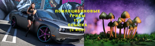МДПВ Верея